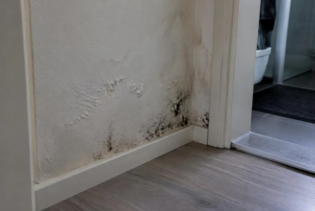 Lekdetectie Vreeland – vochtplek met schimmel op een muur
